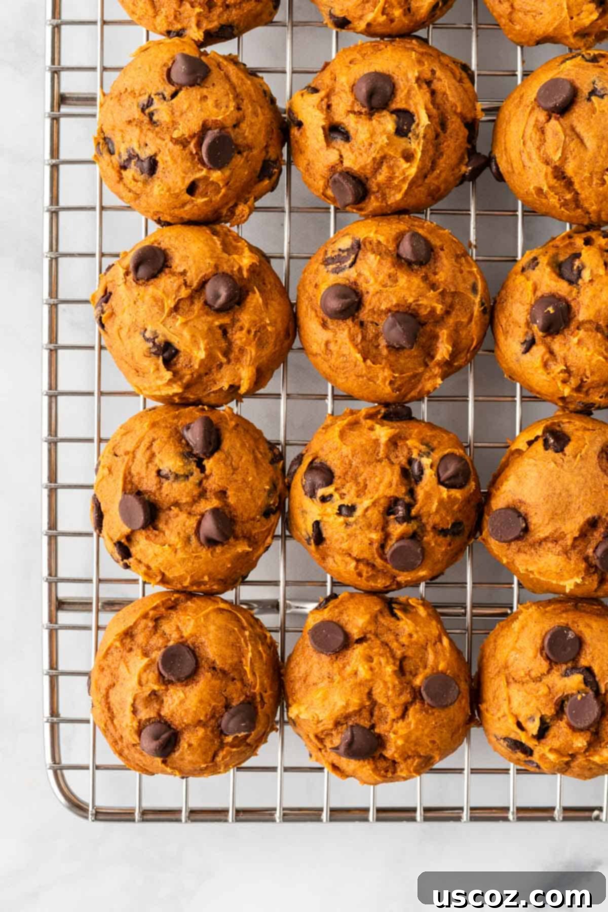 Easy Pumpkin Cake Mix Cookies 12 freshly baked cake mix pumpkin chocolate chip cookies cooling on a wire rack