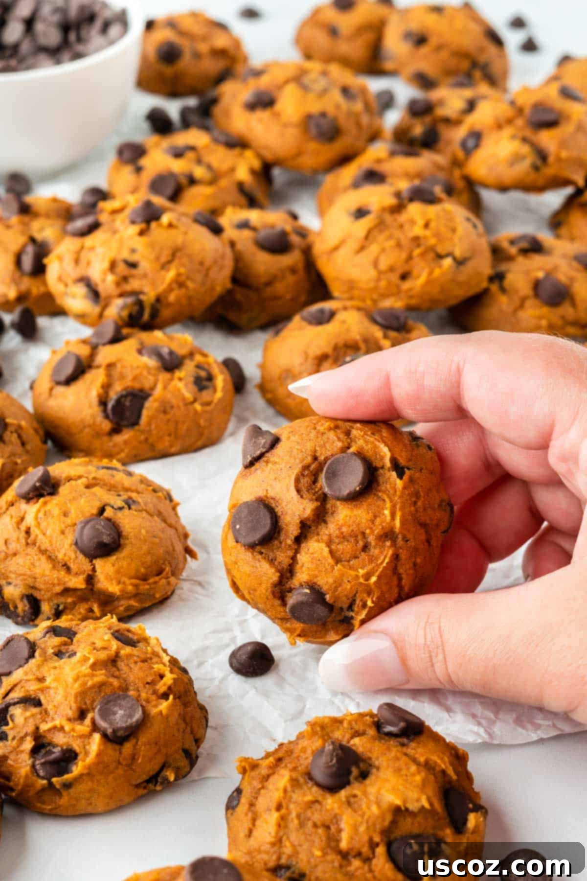 Easy Pumpkin Cake Mix Cookies 13 holding a pumpkin cake mix cookie with chocolate chips
