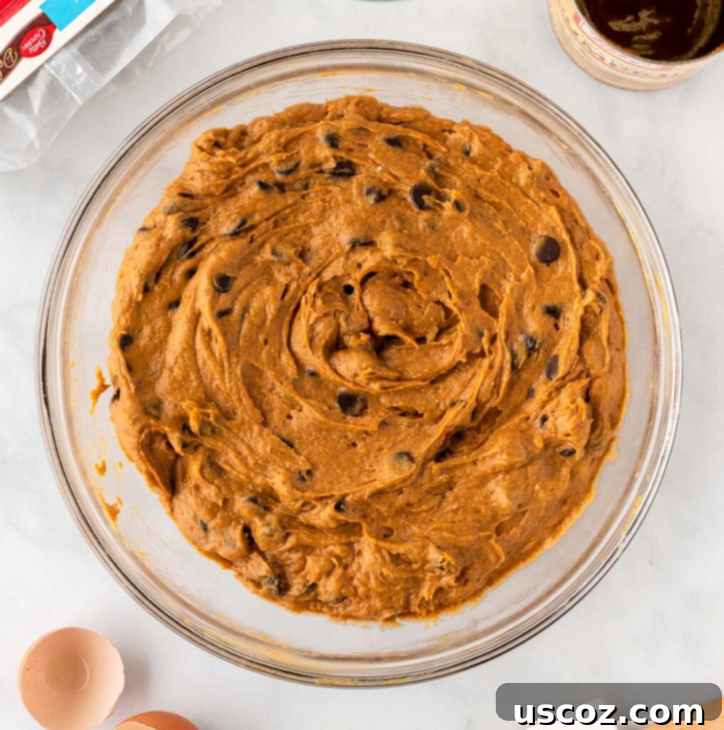 Easy Pumpkin Cake Mix Cookies 10 pumpkin cookie dough with chocolate chips mixed in