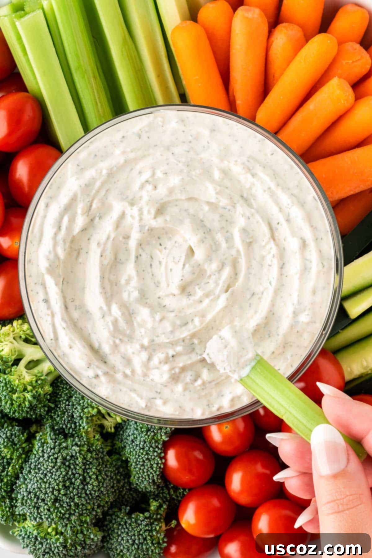 Garden Fresh Dip 11 A close-up of a hand dipping a fresh, green celery stick into a bowl of creamy, light-colored veggie dip, emphasizing the smooth texture of the dip.