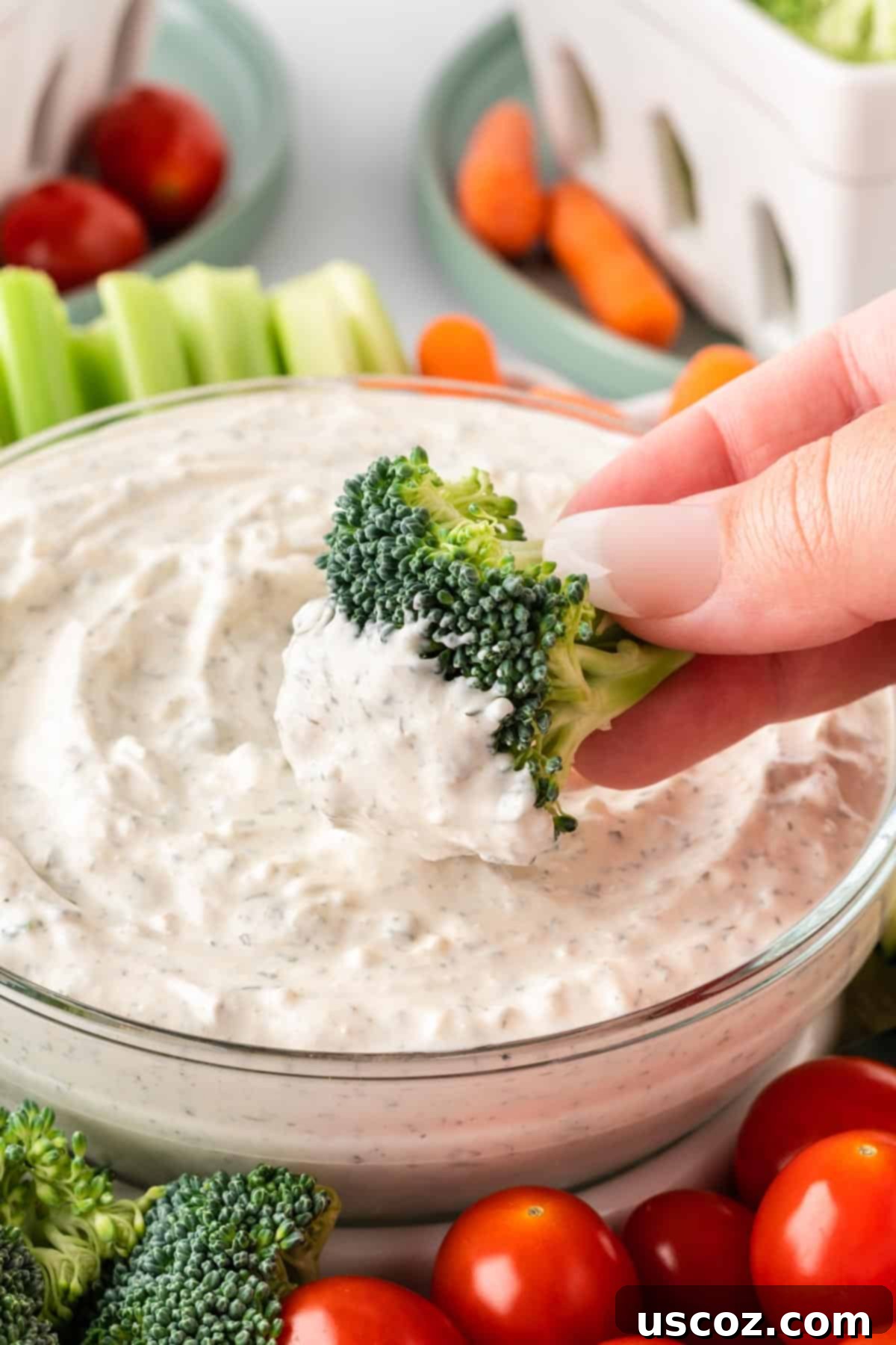 Garden Fresh Dip 9 A vibrant green broccoli floret being gently dipped into a bowl of creamy homemade veggie dip, showcasing the perfect consistency for coating vegetables.