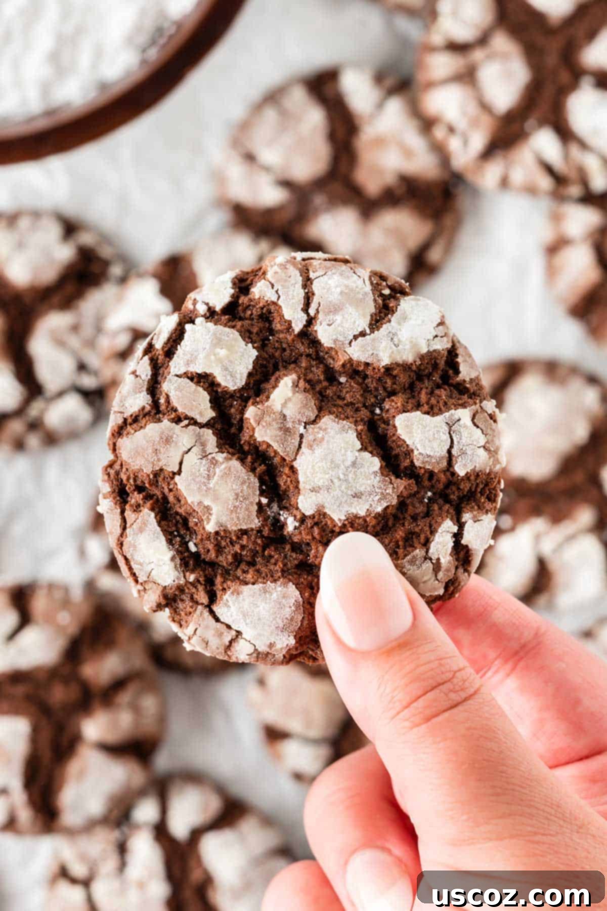 Irresistible Cake Mix Crinkles 13 holding a crinkle cookie