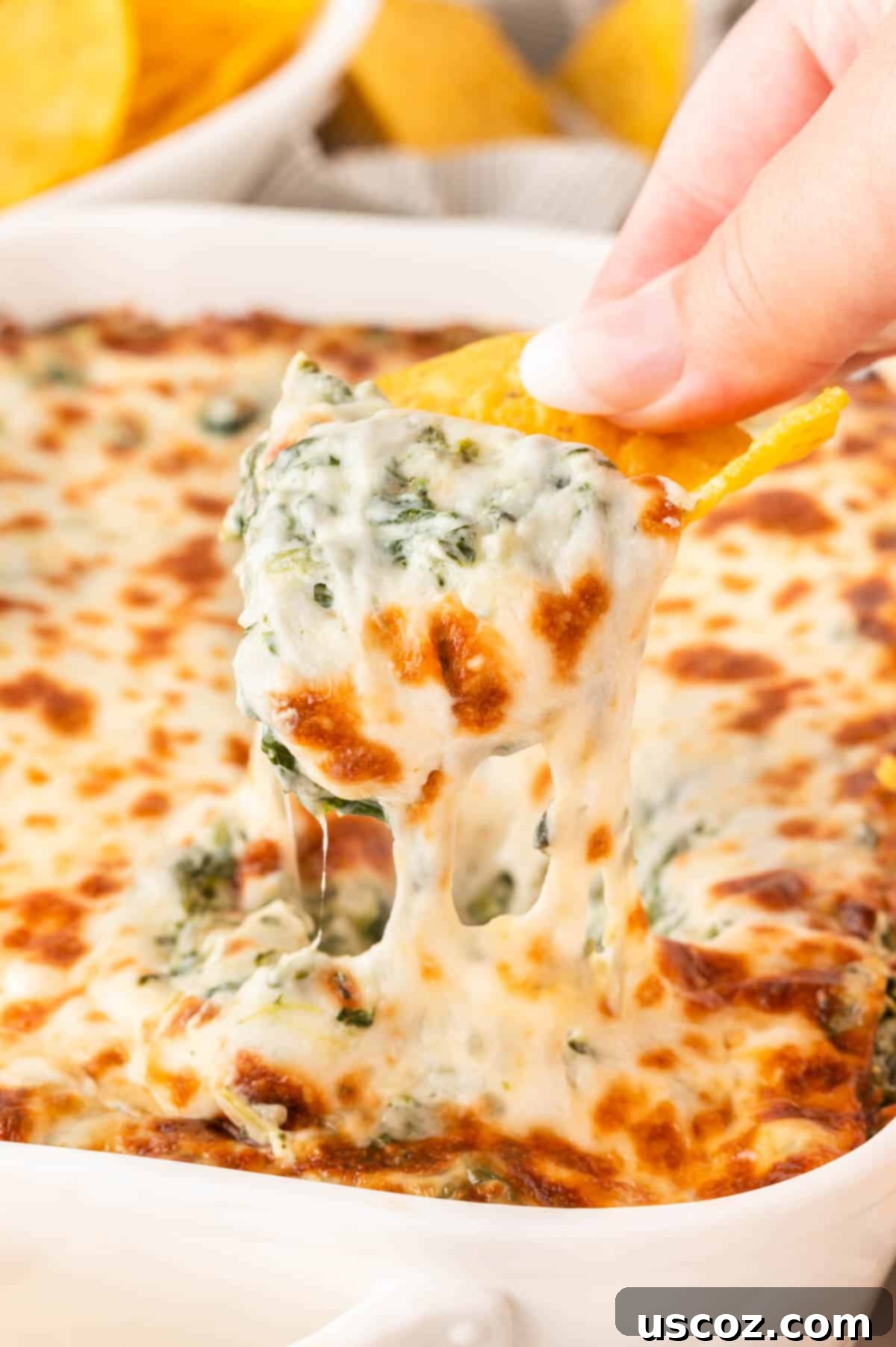 Decadent Creamy Spinach Dip 2 dipping a chip into spinach dip
