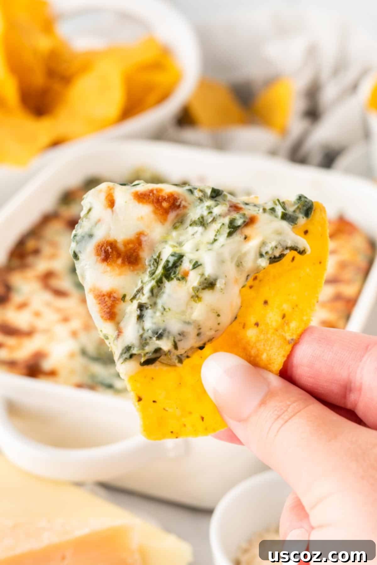 Decadent Creamy Spinach Dip 12 dipping a chip into spinach dip