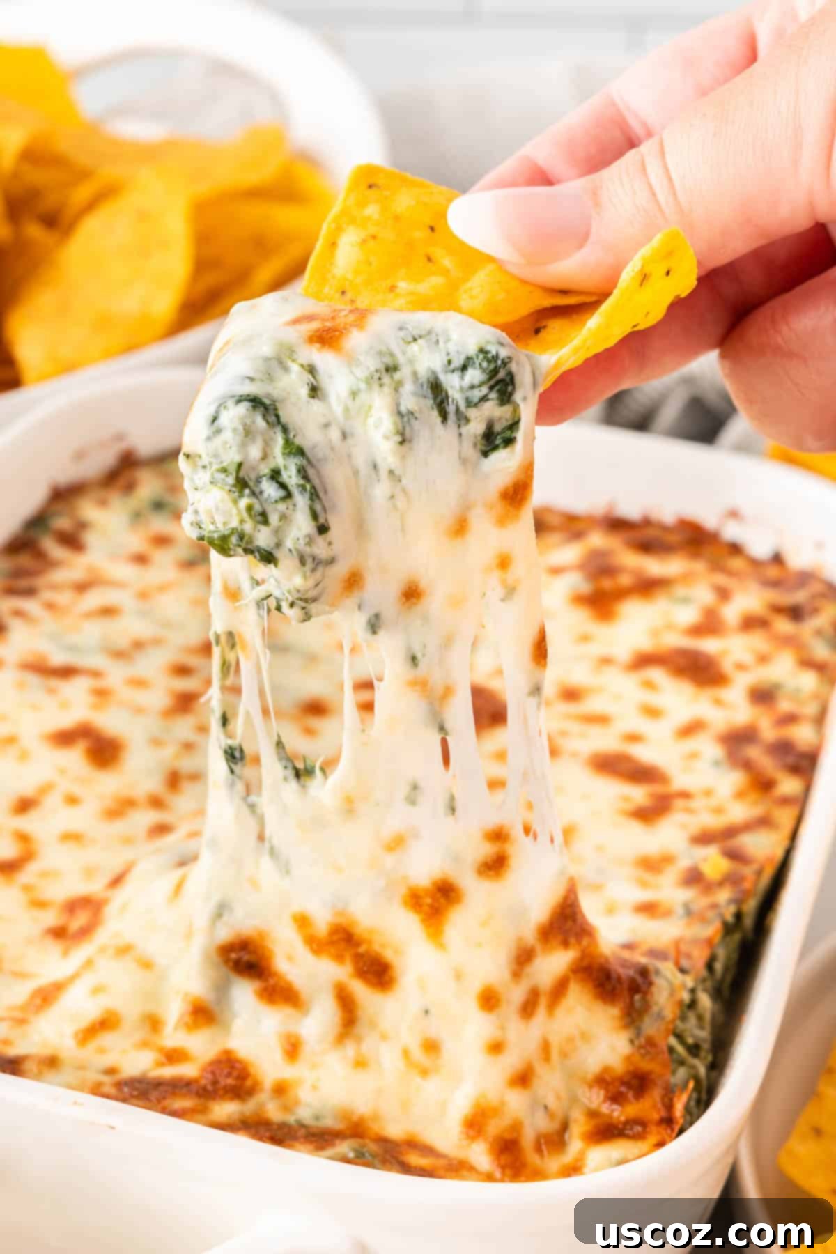 Decadent Creamy Spinach Dip 13 dipping a chip into spinach dip