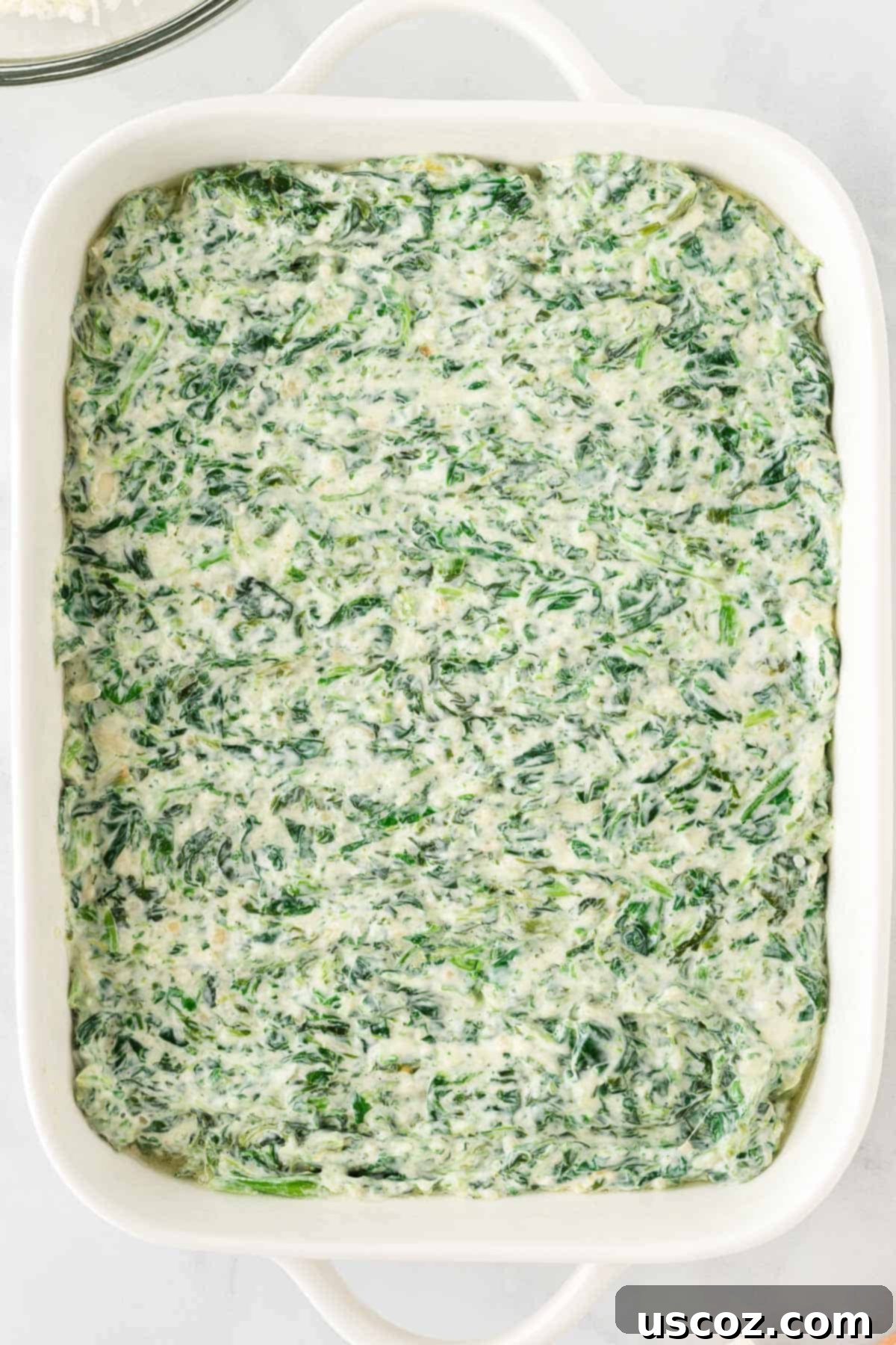 Decadent Creamy Spinach Dip 8 spinach dip in a baking dish