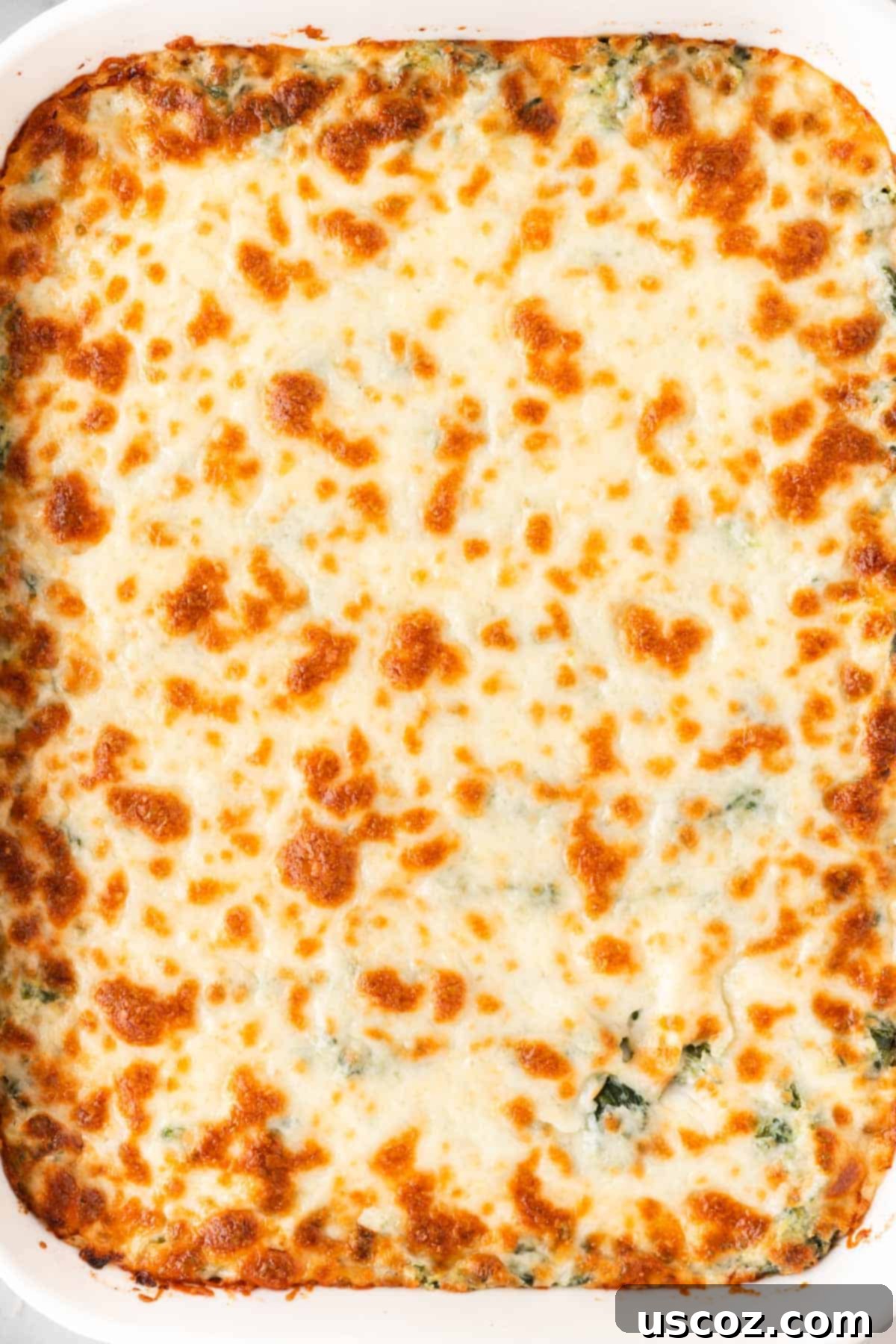 Decadent Creamy Spinach Dip 10 creamy baked spinach dip in a baking dish