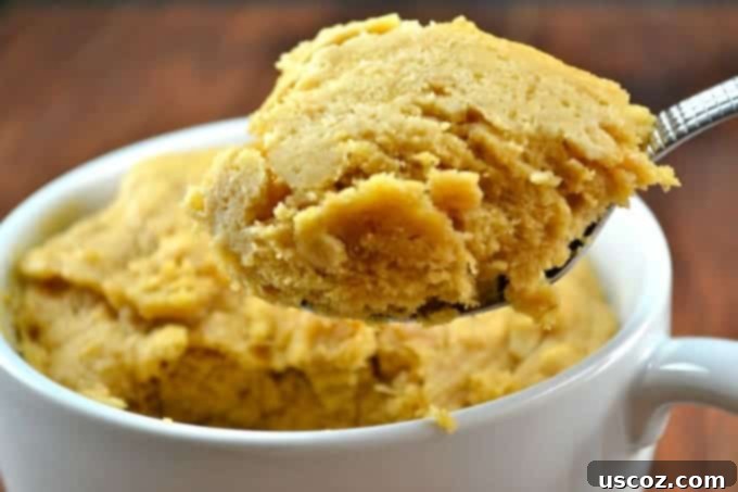 Two Years Strong for Build Your Bite 7 peanutbutter-cookie-mug-cake-1