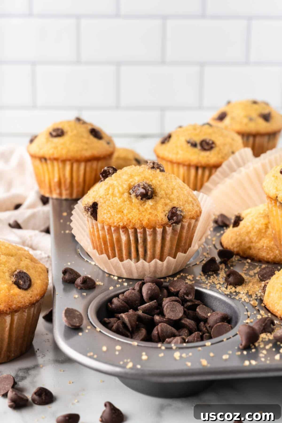 Perfect Bakery Style Chocolate Chip Muffins 2 Close-up of a bakery style chocolate chip muffin with a perfect crackly top, invitingly soft