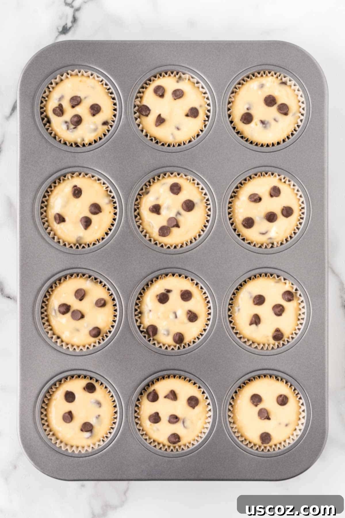 Perfect Bakery Style Chocolate Chip Muffins 12 Muffin tin with 12 cups generously filled with chocolate chip batter, ready for baking