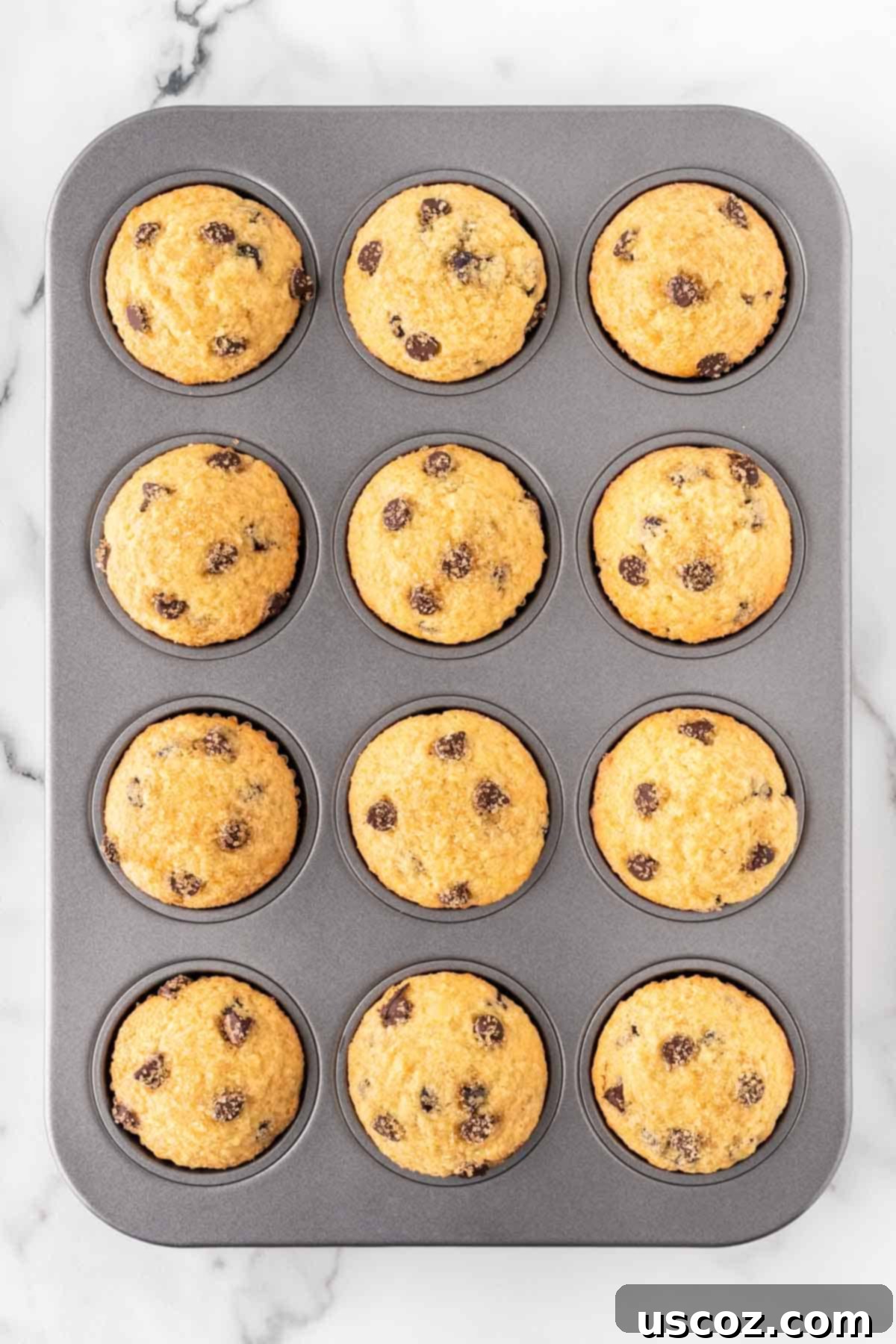 Perfect Bakery Style Chocolate Chip Muffins 14 Freshly baked, golden-brown chocolate chip muffins with tall domes in a muffin tin