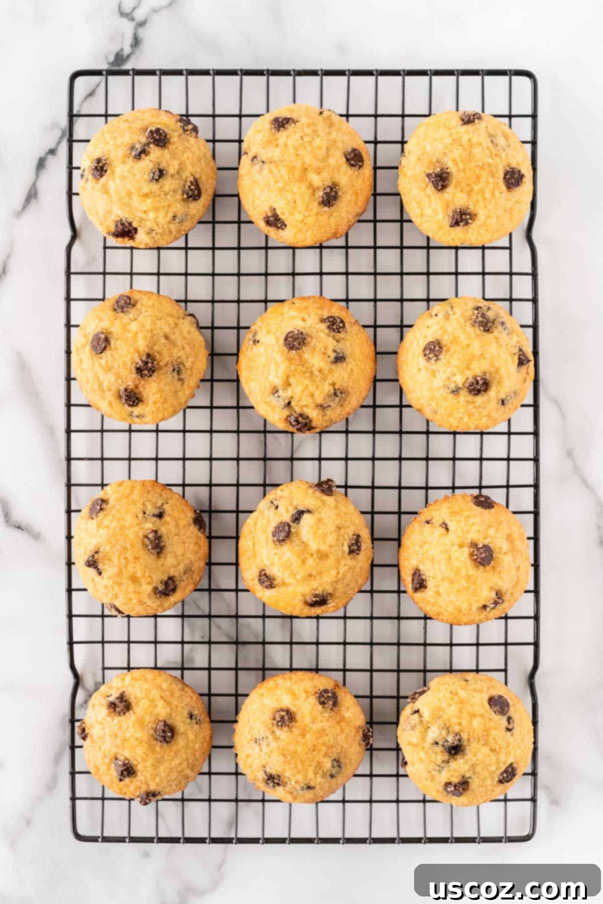 Perfect Bakery Style Chocolate Chip Muffins 15 Warm bakery style chocolate chip muffins cooling on a wire rack after baking