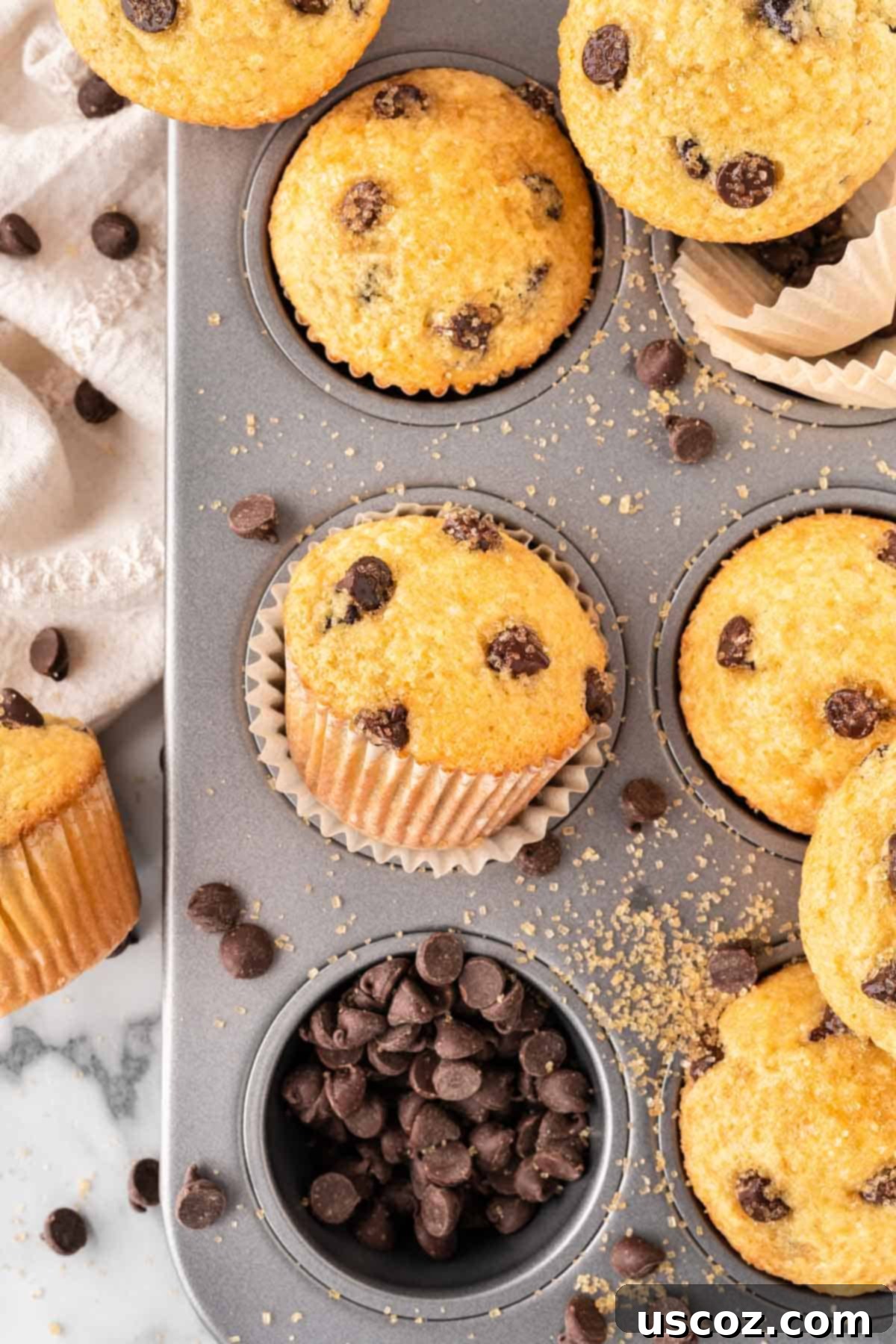 Perfect Bakery Style Chocolate Chip Muffins 16 A person holding a beautifully baked bakery style chocolate chip muffin, ready to be enjoyed