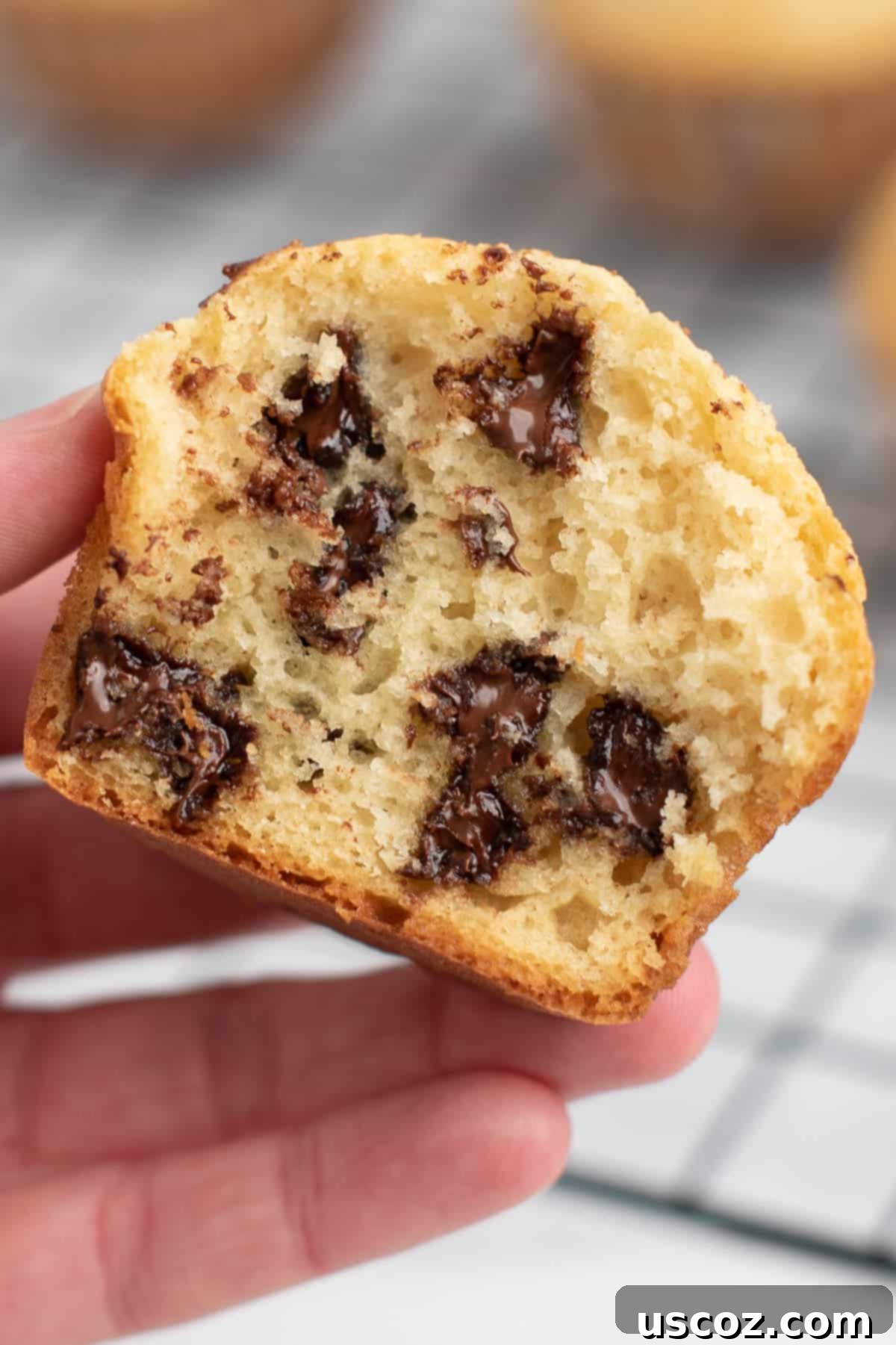 Perfect Bakery Style Chocolate Chip Muffins 17 A hand holding a homemade chocolate chip muffin, highlighting its fluffy texture