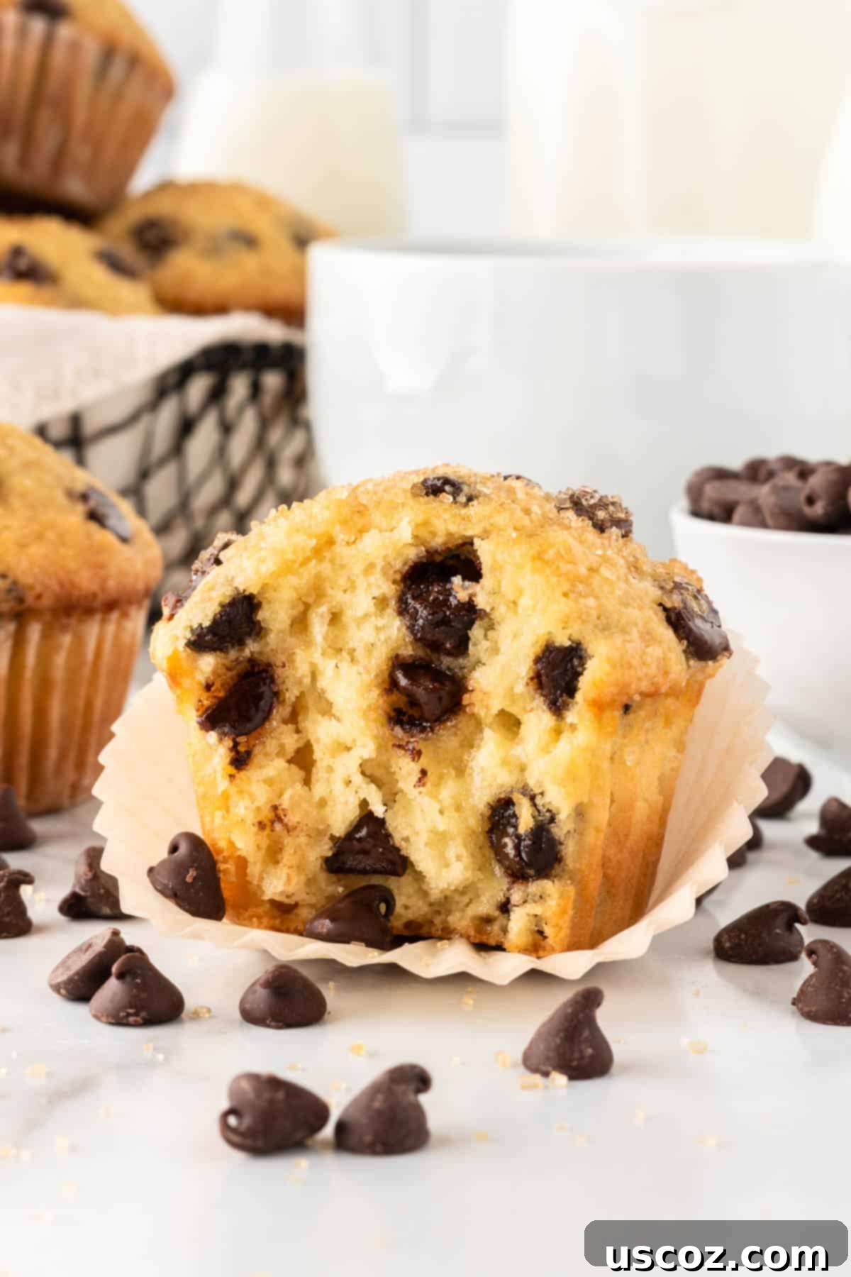 Perfect Bakery Style Chocolate Chip Muffins 18 A freshly baked chocolate chip muffin with a bite taken out, revealing its moist and chocolatey interior
