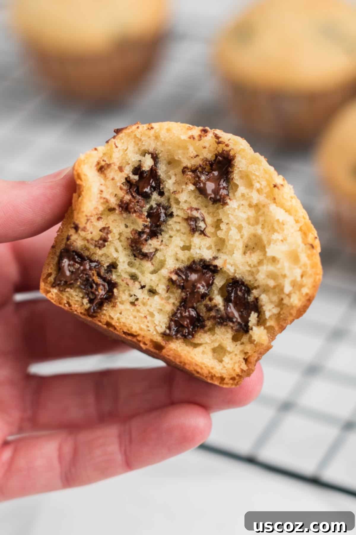 Perfect Bakery Style Chocolate Chip Muffins 19 A hand presenting a golden-brown bakery style chocolate chip muffin, perfectly baked