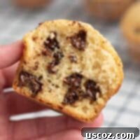 Perfect Bakery Style Chocolate Chip Muffins 20 Delicious bakery style chocolate chip muffin held in hand, ready to eat