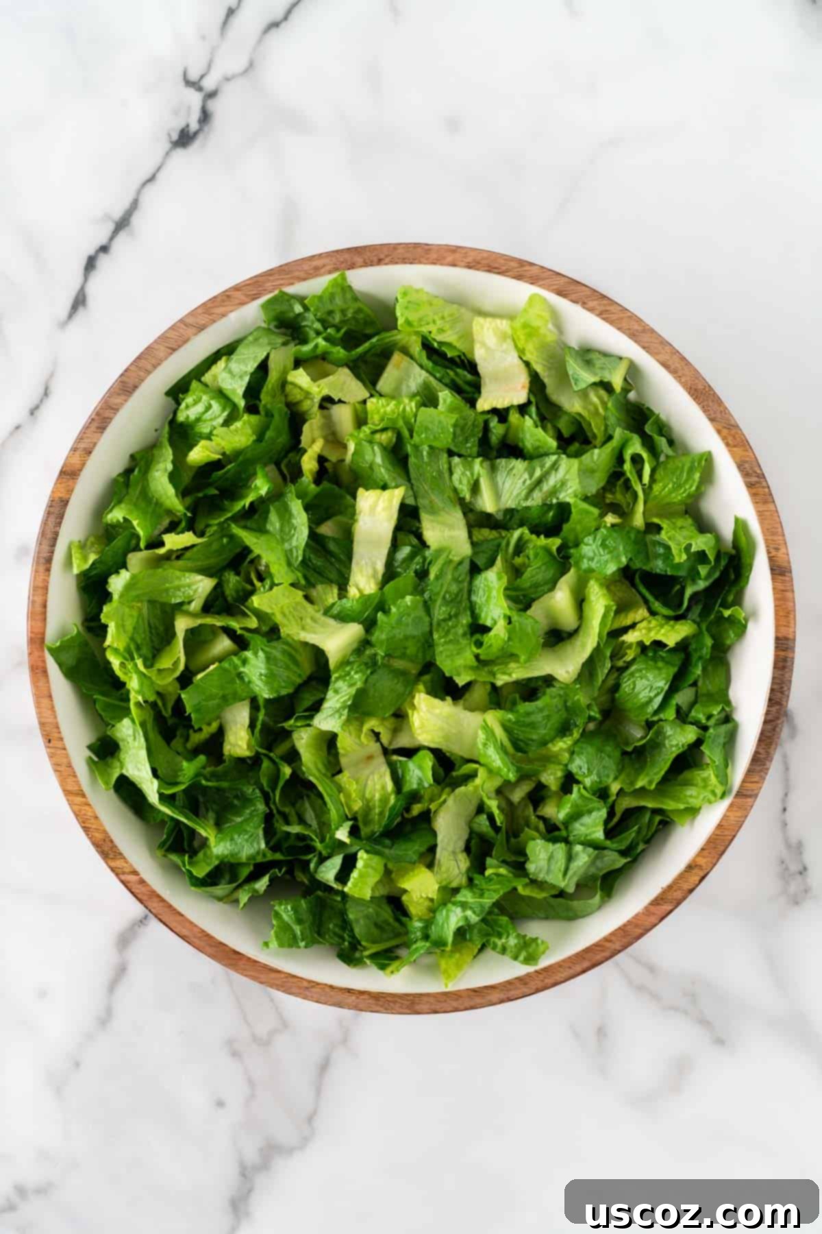 Southwest Fiesta Salad 6 chopped romaine lettuce in a bowl