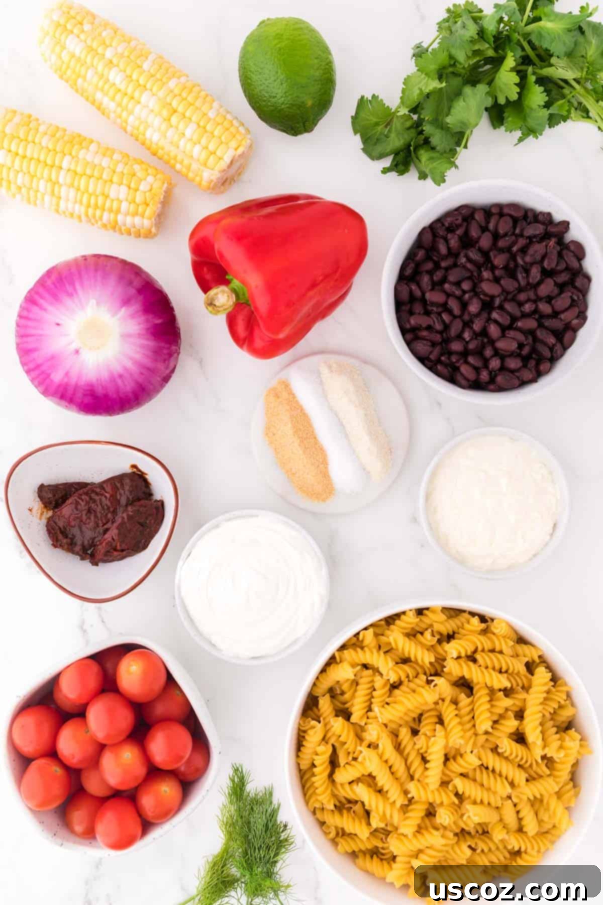 Zesty Southwest Pasta Delight 3 A flat lay of all the fresh ingredients required to make Southwest Pasta Salad, including rotini pasta, corn on the cob, black beans, bell peppers, tomatoes, red onion, and cilantro.