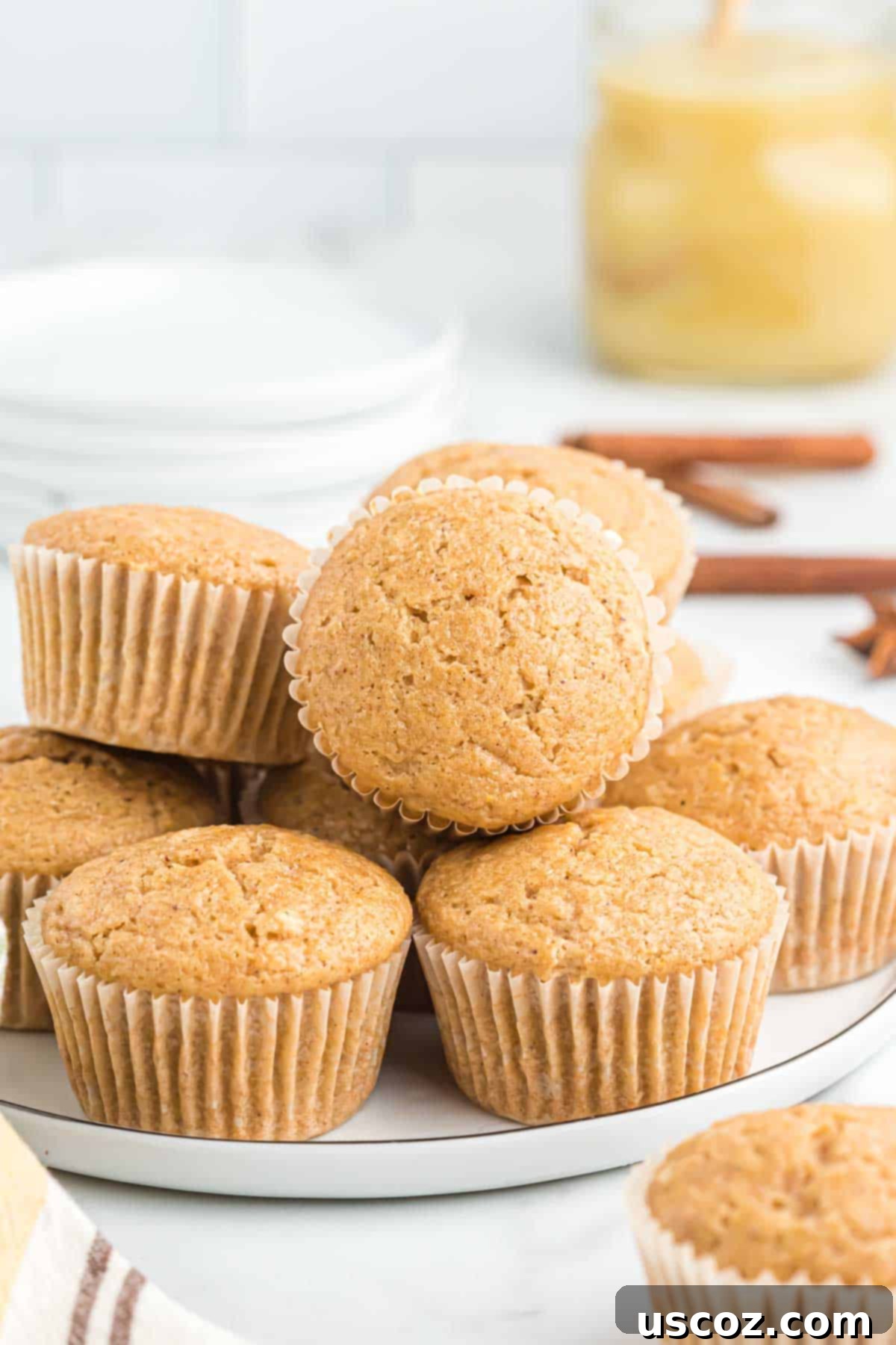 Homestyle Applesauce Muffins 2 Delicious applesauce muffins fresh out of the oven, arranged on a cooling rack, ready to be enjoyed.