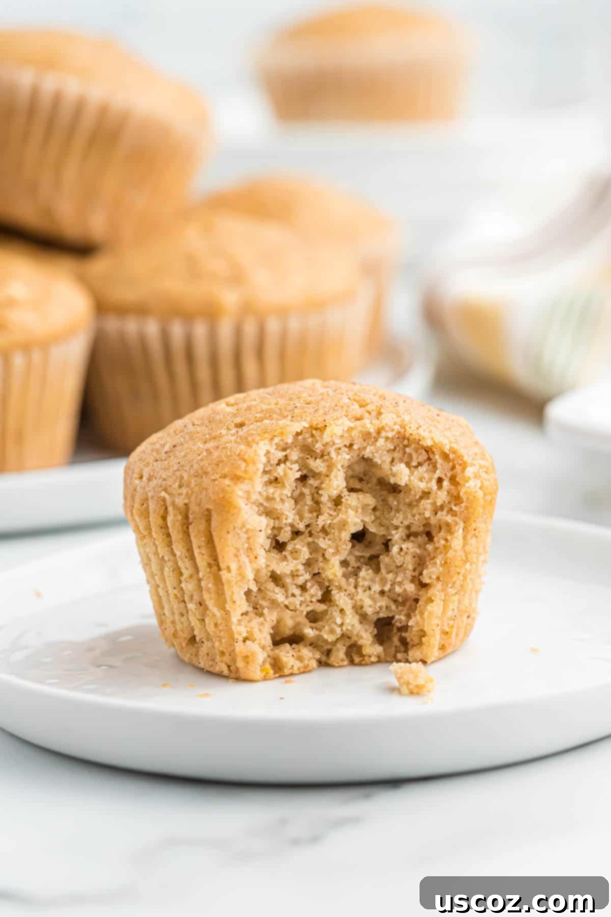 Homestyle Applesauce Muffins 12 A perfectly baked applesauce muffin with a small bite taken out, revealing its moist, tender interior and delightful texture.