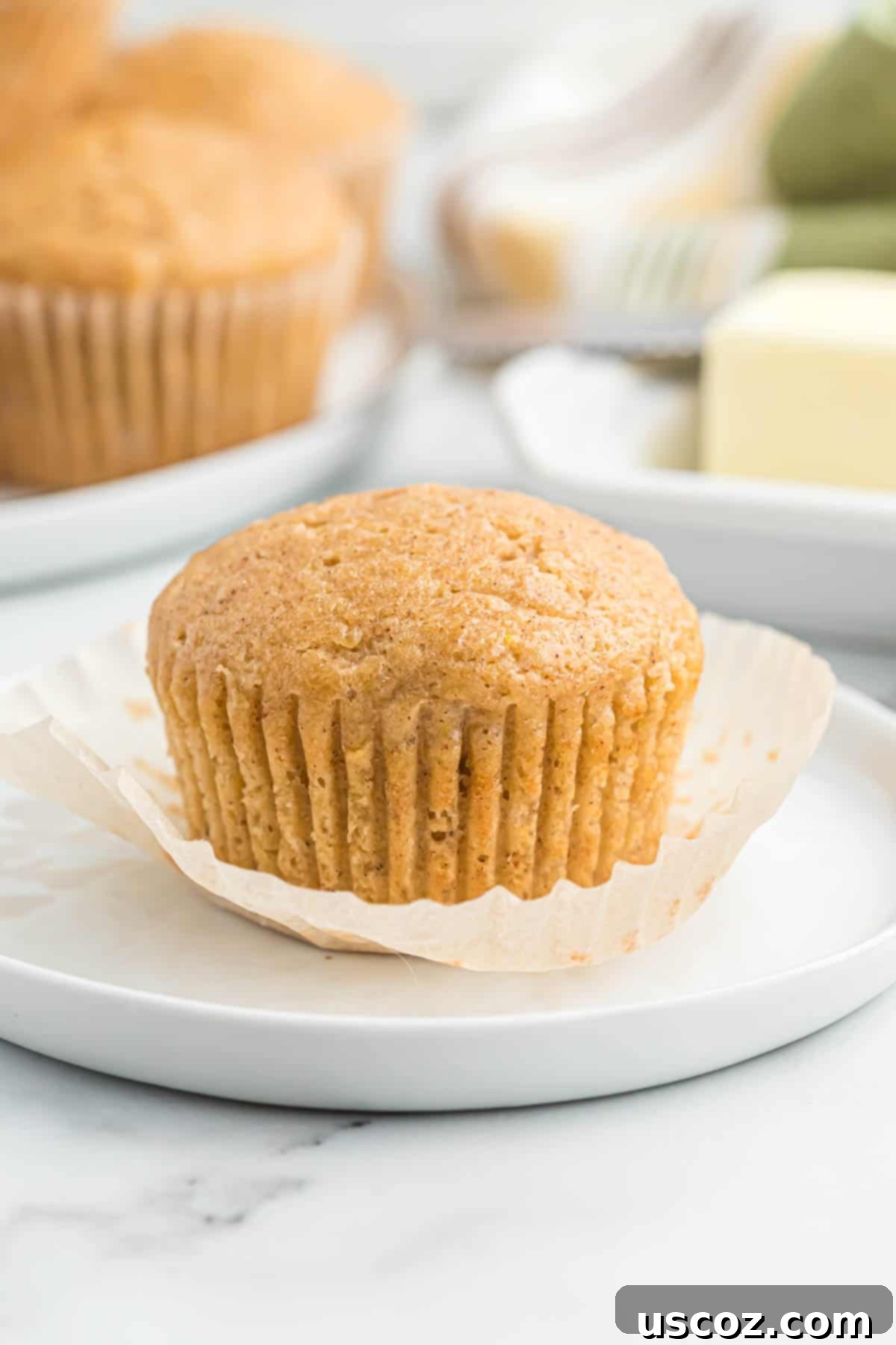 Homestyle Applesauce Muffins 14 A single, beautifully baked applesauce muffin on a white plate, ready to be enjoyed as a delightful treat.