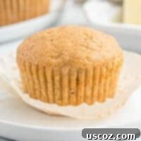 Homestyle Applesauce Muffins 15 Perfectly baked applesauce muffin, moist and fluffy, ready to be served.