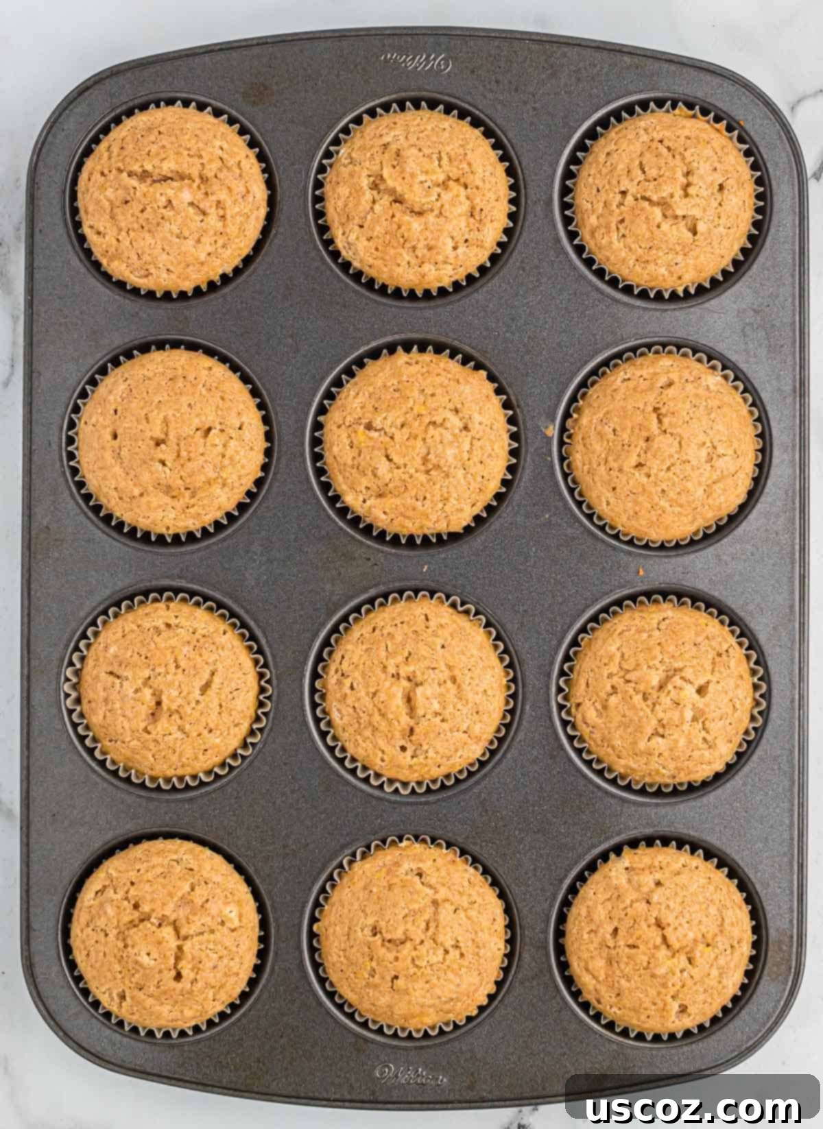 Homestyle Applesauce Muffins 10 Freshly baked applesauce muffins still in the tin, golden brown, perfectly risen, and looking delicious.