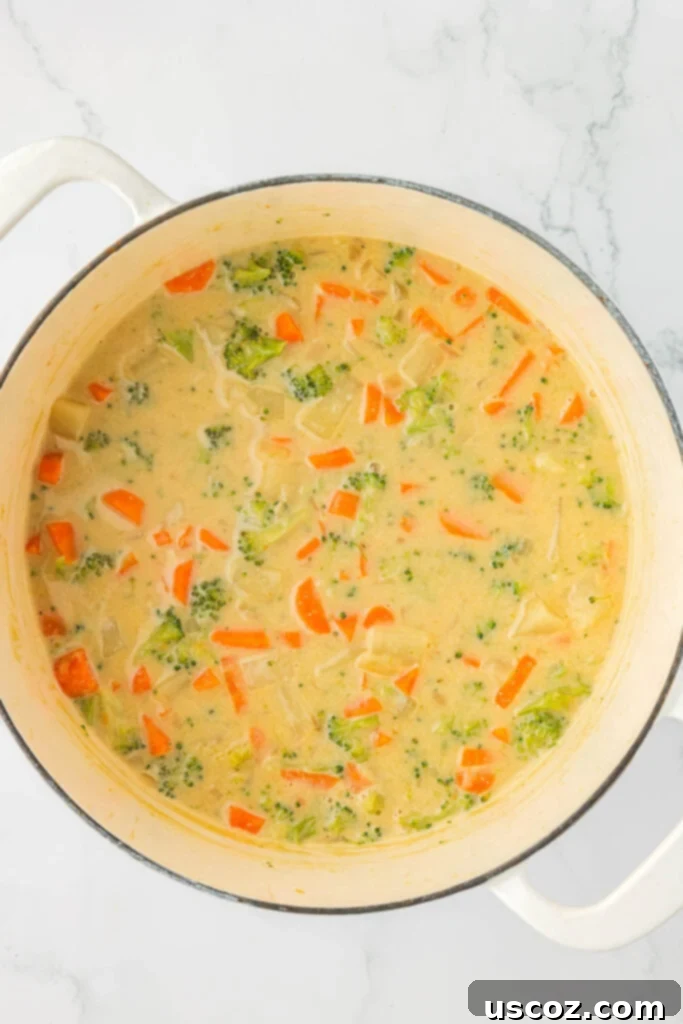 Velvet Veggie Delight 16 Creamy vegetable soup with broccoli cooked down to perfection, showcasing a harmonious blend of vegetables in a rich base.