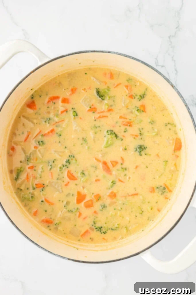 Velvet Veggie Delight 18 A close-up of creamy vegetable soup in a Dutch oven after the cheese has melted, showcasing its rich, thick texture and vibrant vegetables.