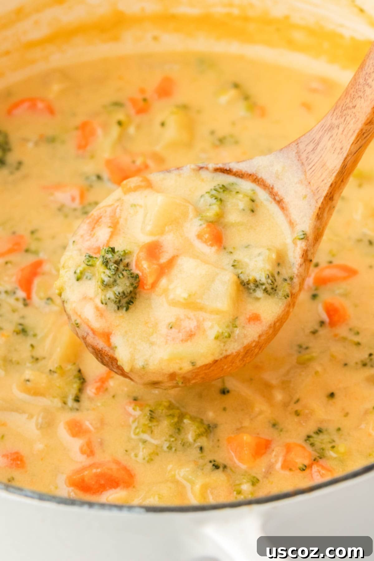 Velvet Veggie Delight 19 A ladle scooping a generous portion of creamy vegetable soup from the pot, emphasizing its hearty consistency and readiness to serve.