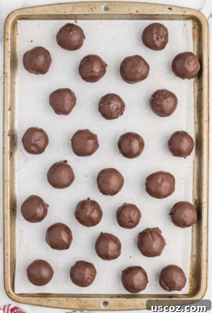 Pecan Pie Truffles 9 chocolate covered pecan balls on a baking sheet, freshly dipped