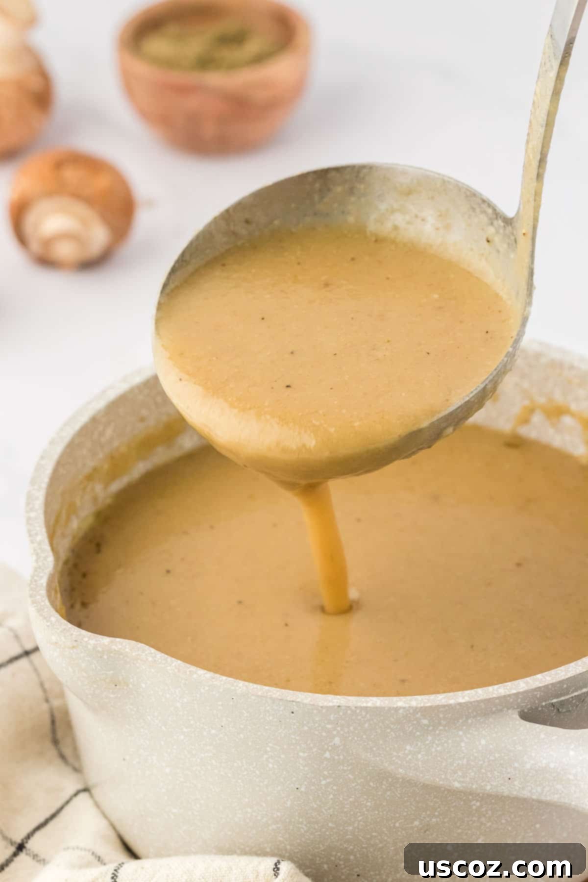 Perfect Vegetarian Gravy 24 A ladle scooping a generous portion of thick, rich vegetarian gravy from a saucepan.