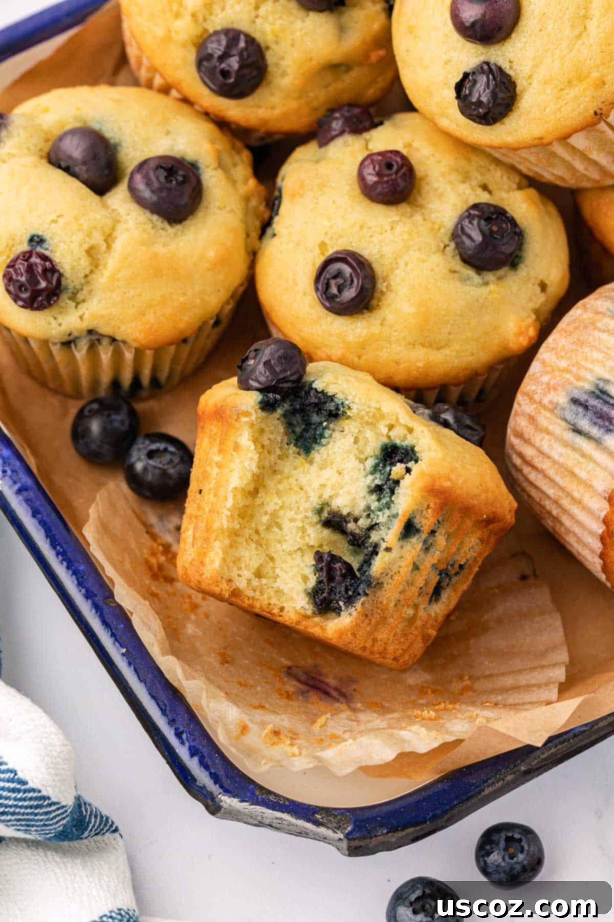 Sumptuous Sour Cream Blueberry Muffins 2 A delicious sour cream blueberry muffin with a bite taken out, showing the moist interior and plump blueberries.