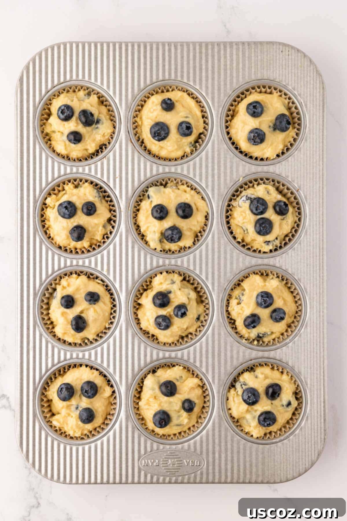Sumptuous Sour Cream Blueberry Muffins 12 Muffin tin filled with blueberry muffin batter, ready for baking.
