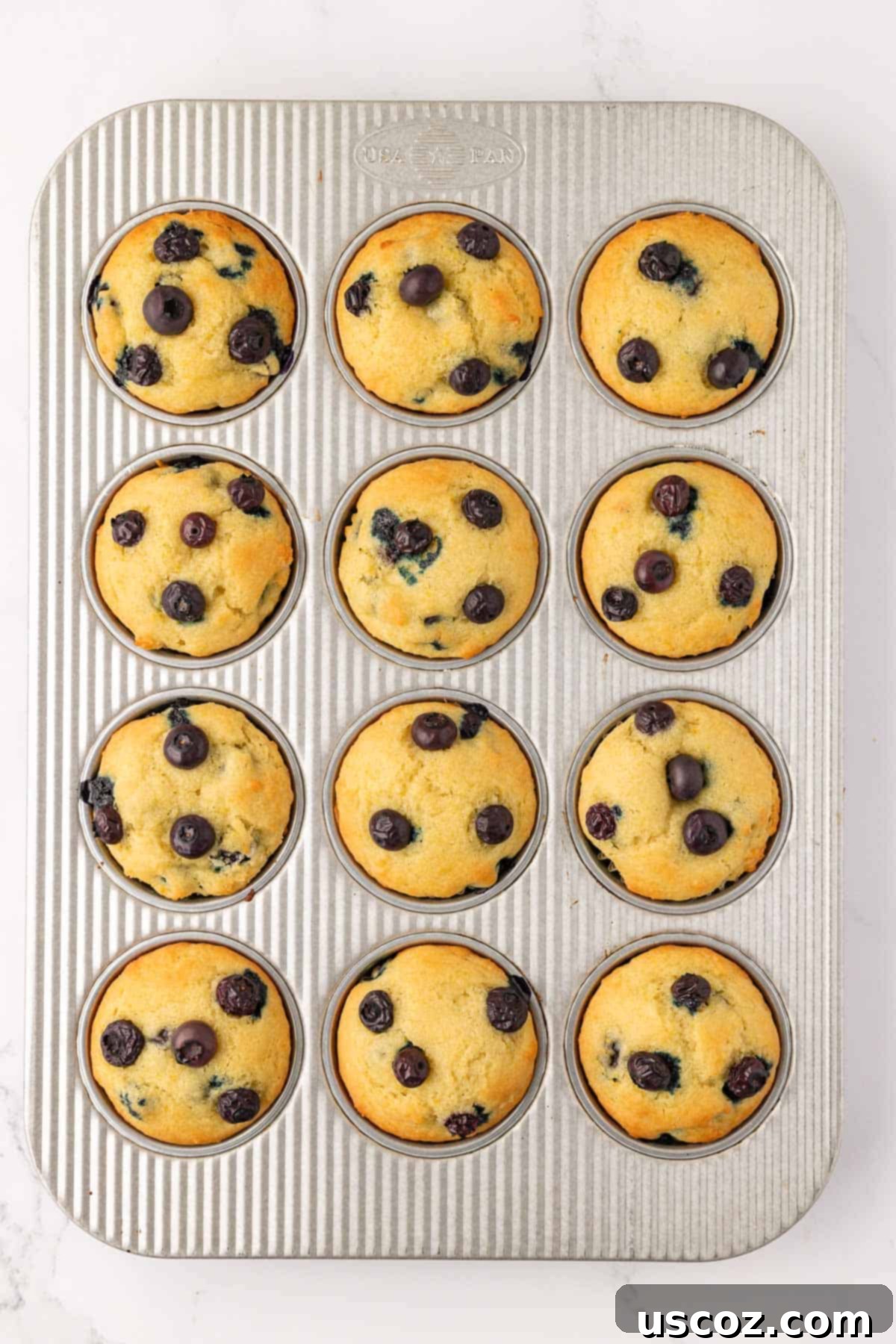 Sumptuous Sour Cream Blueberry Muffins 13 Freshly baked blueberry muffins cooling in a muffin tin.
