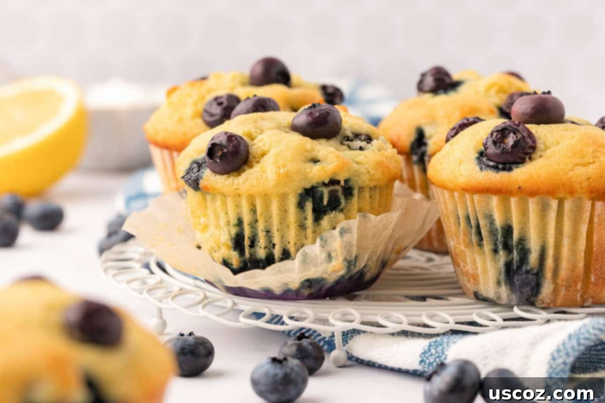 Sumptuous Sour Cream Blueberry Muffins 15 Freshly baked blueberry muffins arranged on a decorative plate.