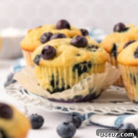 Sumptuous Sour Cream Blueberry Muffins 16 blueberry muffins on a decorative plate