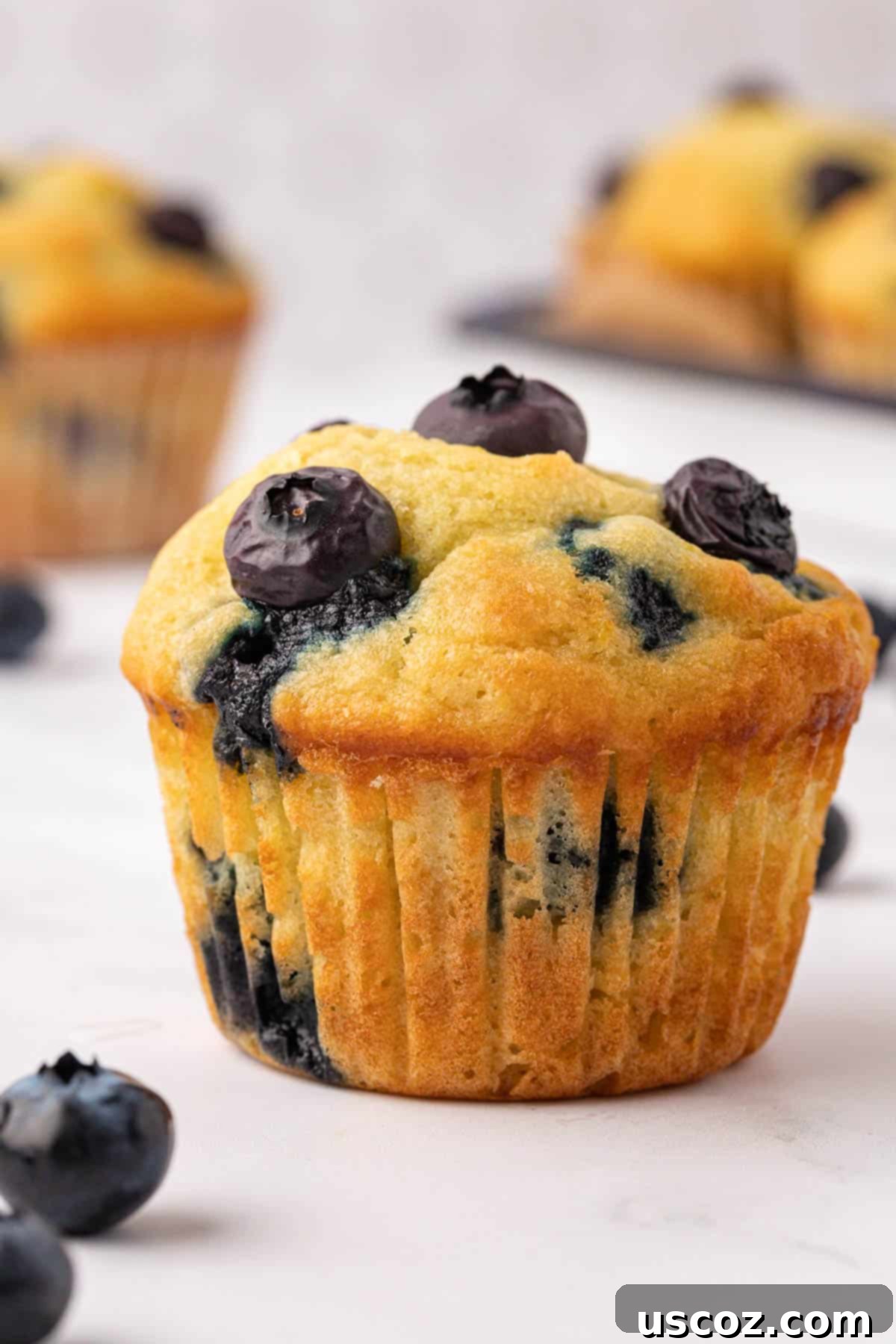 Sumptuous Sour Cream Blueberry Muffins 3 A single perfect sour cream blueberry muffin with a golden brown top.