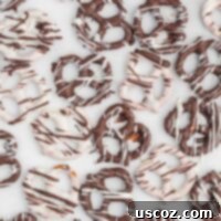 Chocolate Pretzel Perfection 13 chocolate covered pretzels