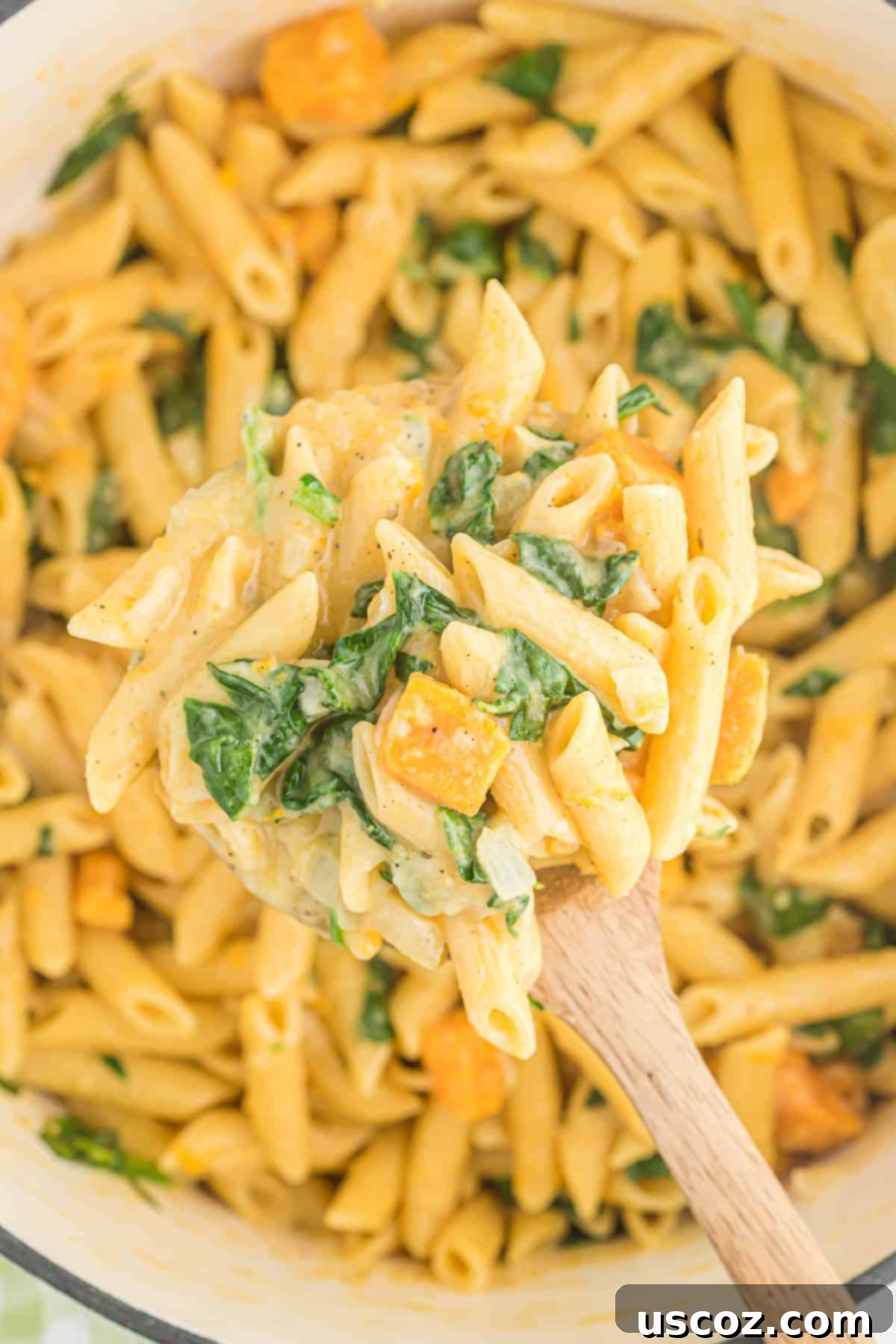 Golden Sweet Potato Strands 11 sweet potato pasta in a dutch oven, ready to serve