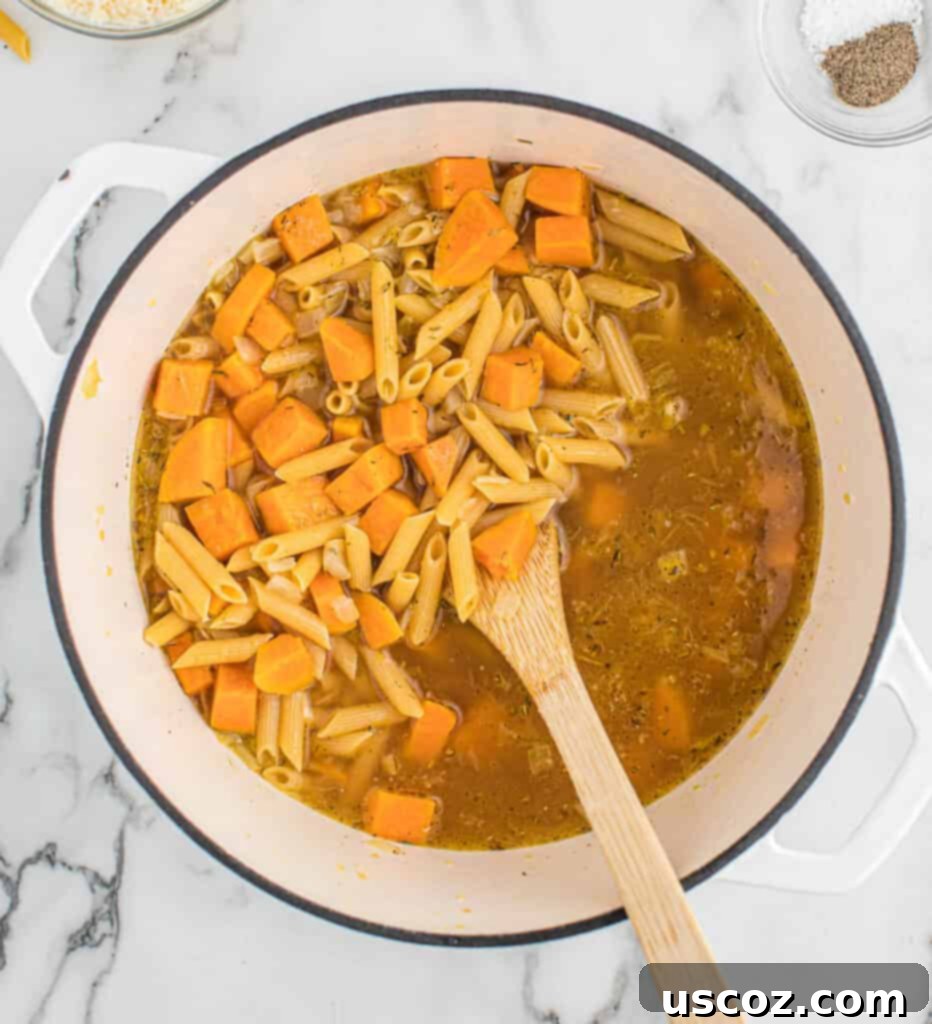 Golden Sweet Potato Strands 5 adding vegetable broth and penne pasta to the pot