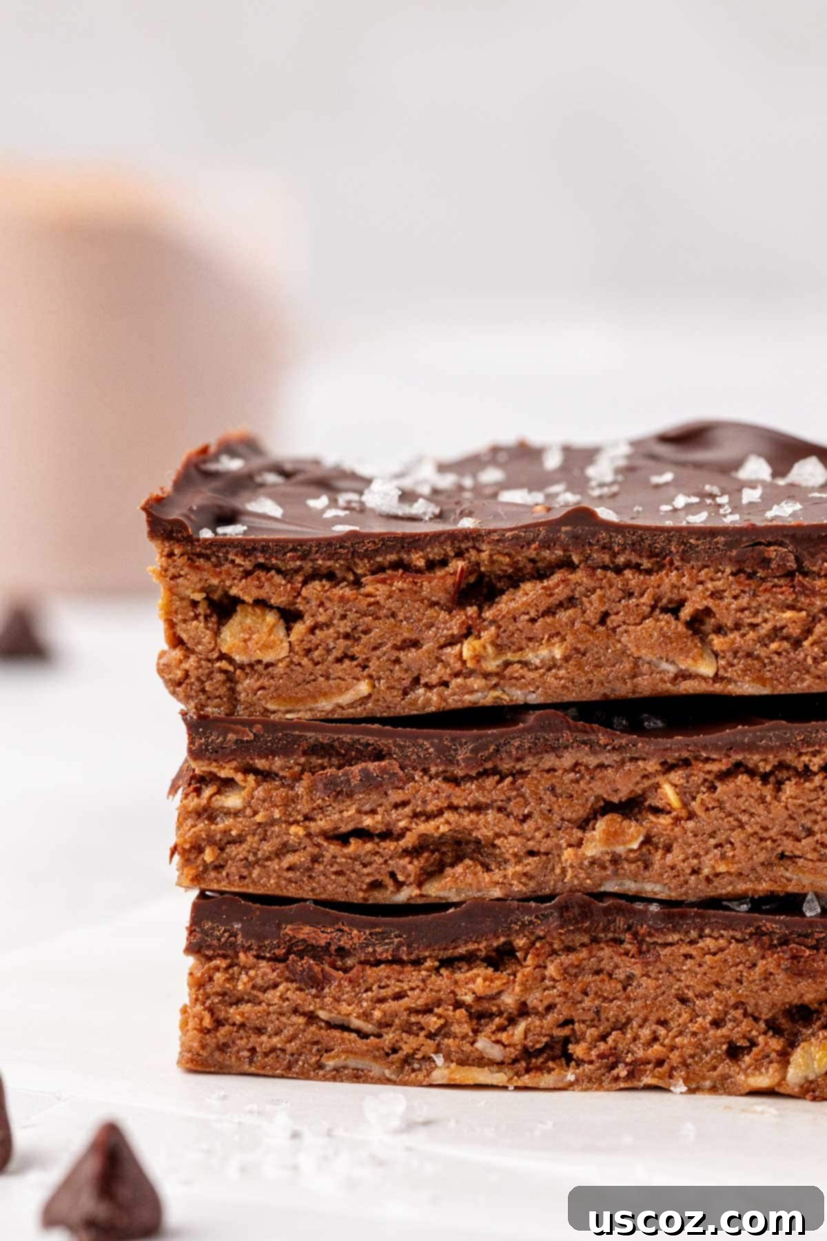 Protein-Packed Chocolate Bars 12 Close-up of a single chocolate protein bar showing its rich texture and chocolate topping with sea salt