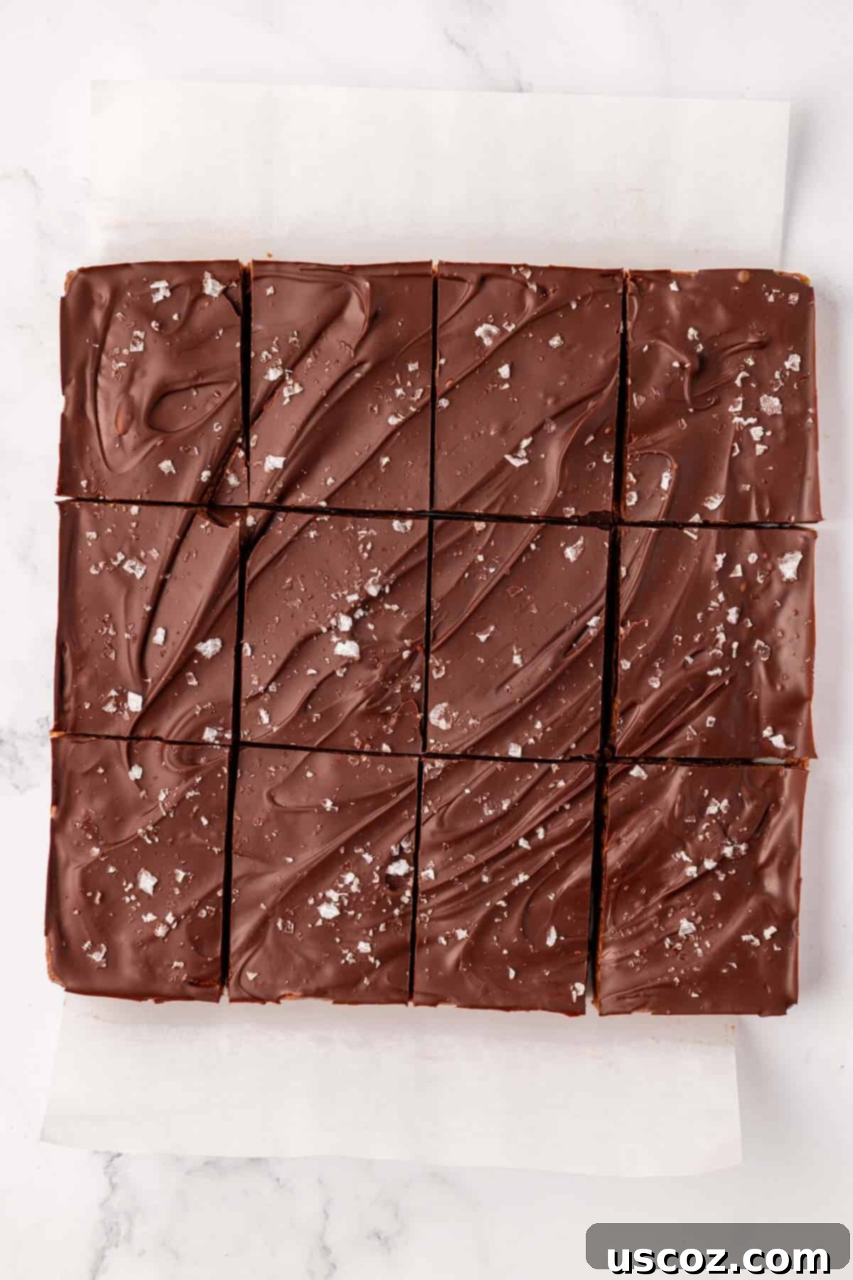 Protein-Packed Chocolate Bars 10 Close-up of chocolate protein bars neatly cut into 12 squares