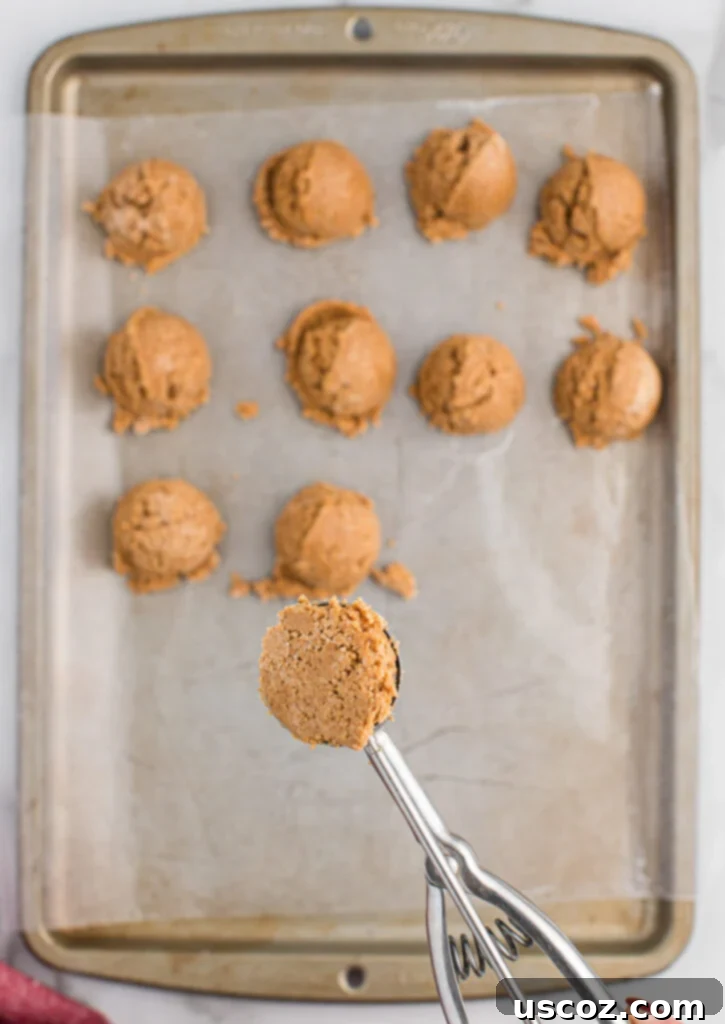 No-Bake Peanut Butter Graham Bites 11 A mini cookie scoop filled with peanut butter ball batter, ready to be rolled.