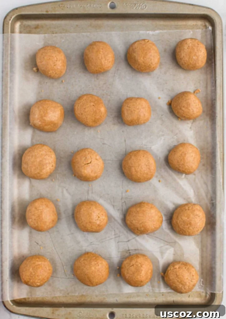 No-Bake Peanut Butter Graham Bites 12 Peanut butter balls neatly arranged on a lined baking sheet, ready for chilling.