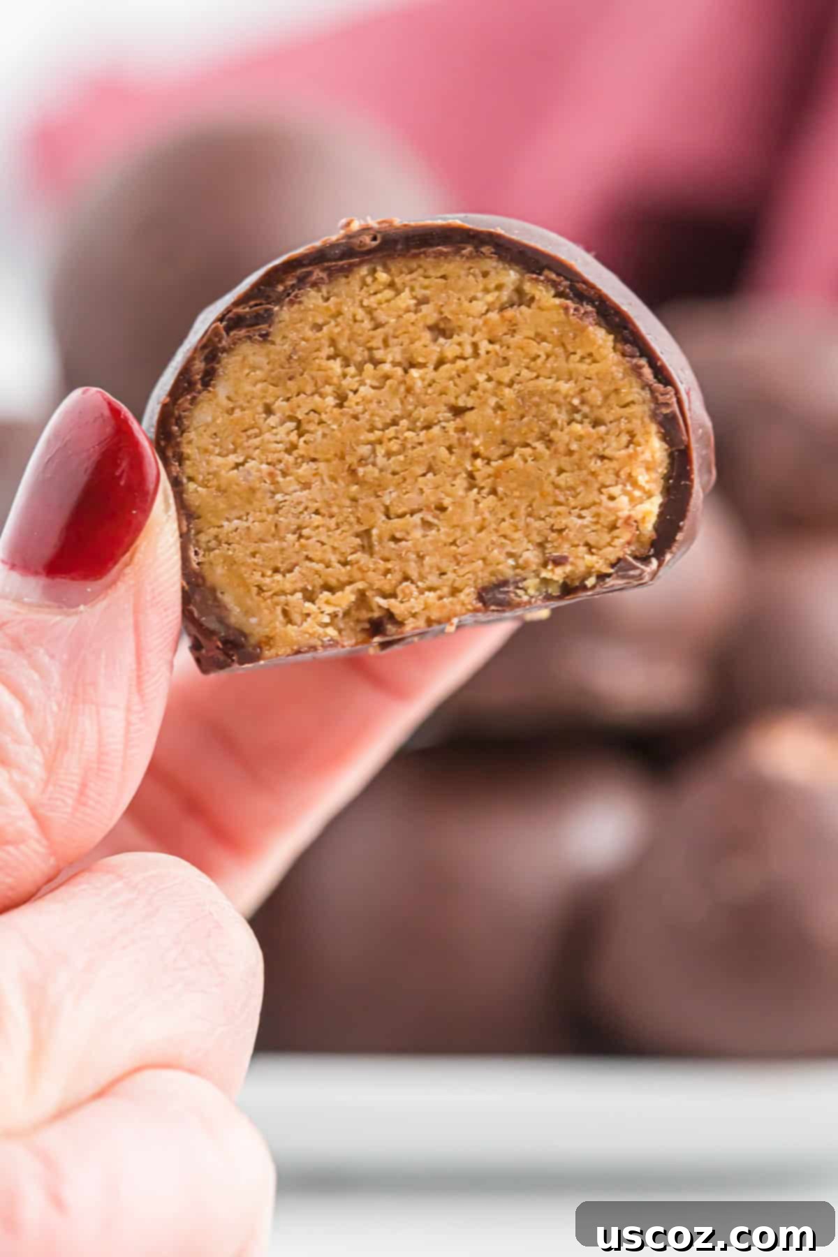 No-Bake Peanut Butter Graham Bites 16 A hand holding a peanut butter ball with graham crackers, cut in half to reveal the creamy, crunchy filling.