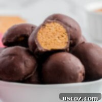 No-Bake Peanut Butter Graham Bites 17 peanut butter balls with graham crackers