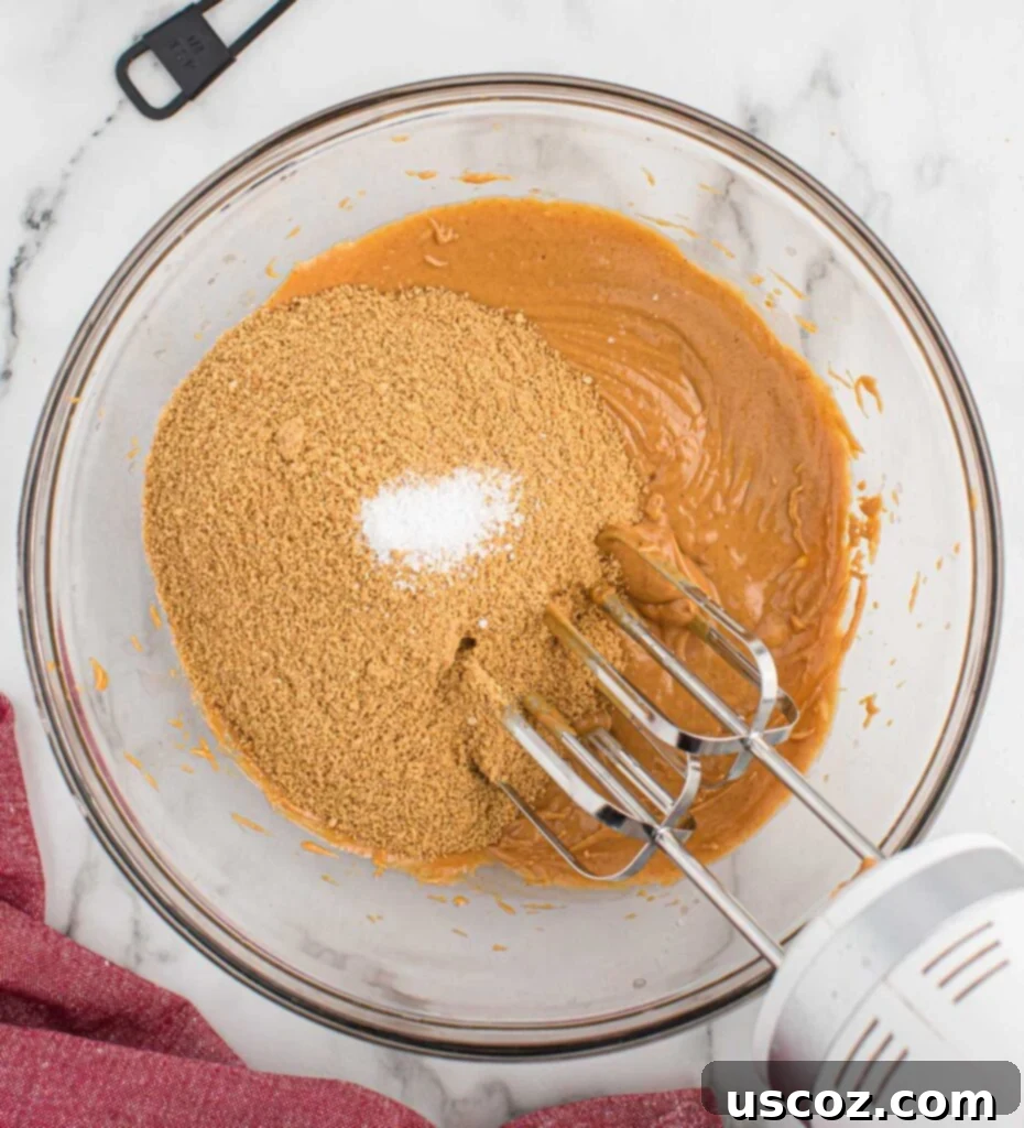 No-Bake Peanut Butter Graham Bites 7 Adding the graham cracker crumbs and salt to the peanut butter mixture in a mixing bowl.