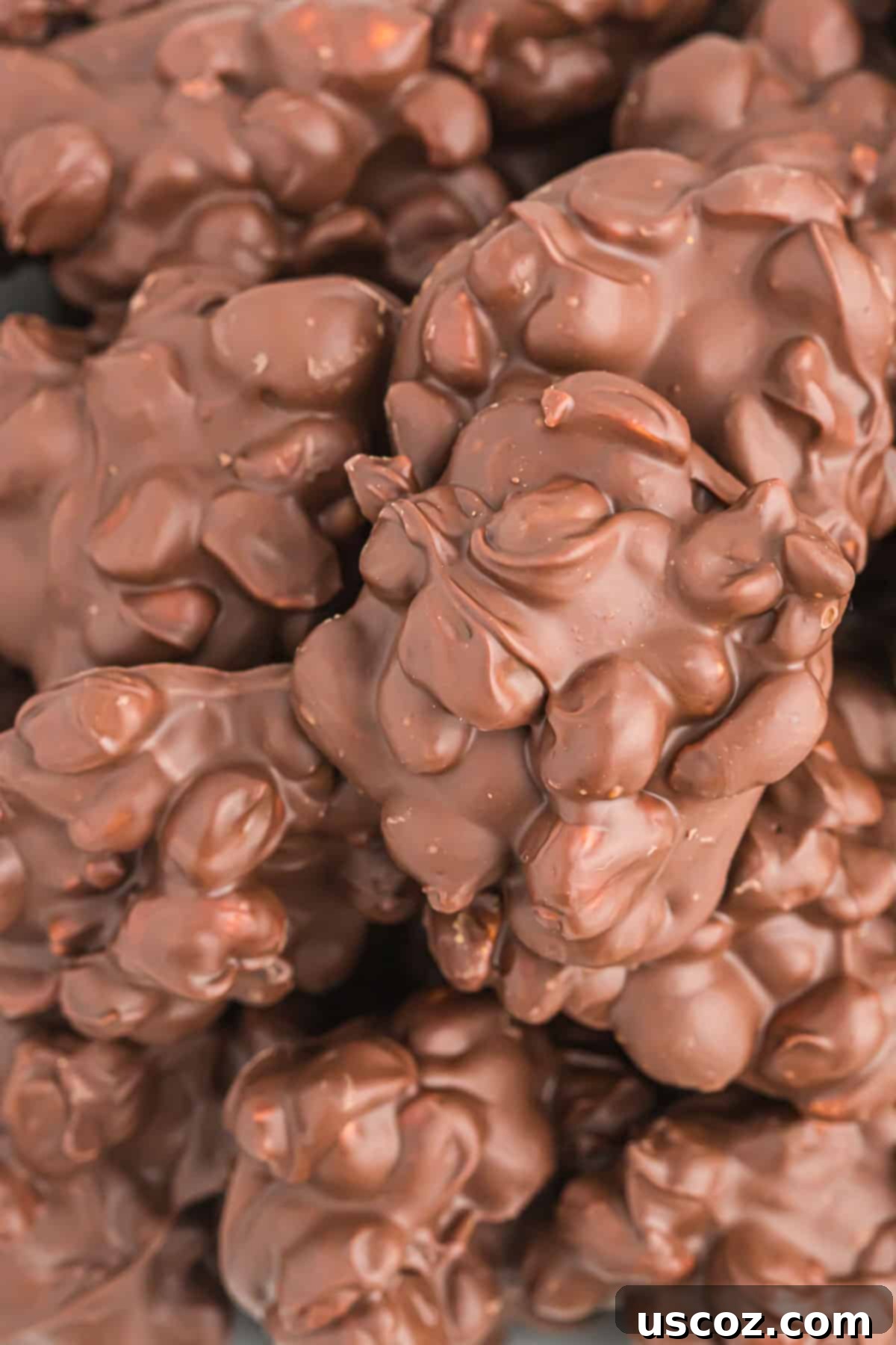 Slow Cooker Chocolate Peanut Clusters 15 crock pot peanut clusters in a festive bowl